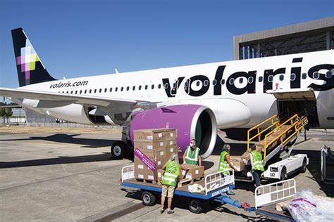 Volaris Cargo vs. Other Airlines: Which Is the Best for Pet Travel?